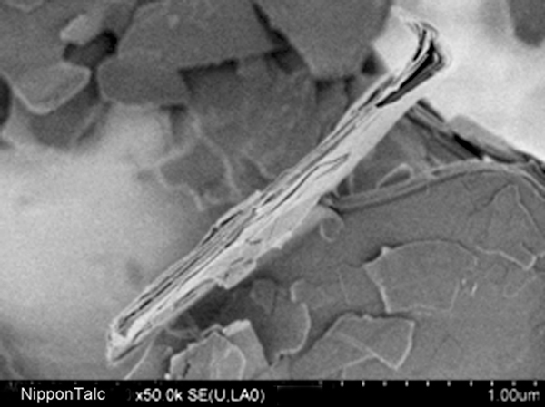 NANO ACE Cross Section（Magnification 50,000 times）